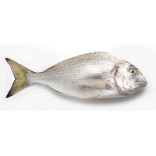 Dorada Nacional (1 Kg)