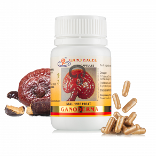 Ganoderma