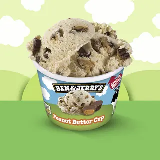 Ben & Jerry's Helado Mini Tarrina Peanut Butter cup 100ml