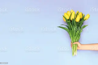 mazzo di 20 tulipani gialli