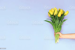 mazzo di 20 tulipani gialli