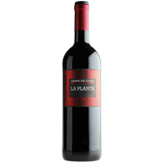 La Planta (Arzuaga)