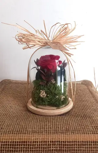 Mini Cúpula Rosa Eterna Roja