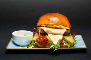 Burger Sechi 315 Gr.