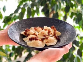 Pierogi Lvivskie 9 szt  Lunch