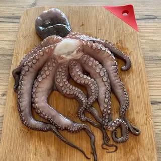 Polpo