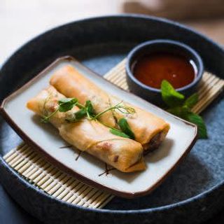 Spring rola od patke