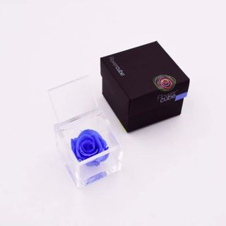 Rosa stabilizzata blu S