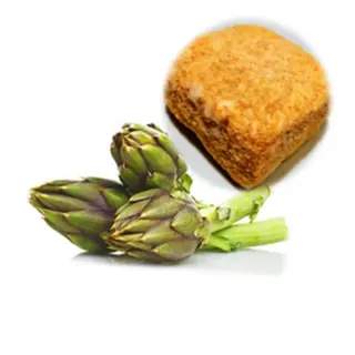 Carciofi