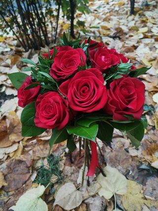 Buchet 9 trandafiri rosii