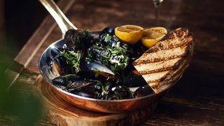 შავი ნიჟარის მიდიები