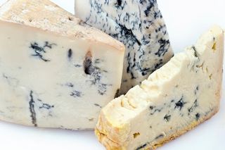 GORGONZOLA