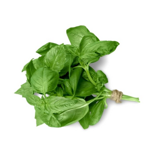 Albahaca Manojo O Planta