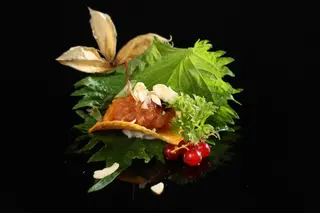 S5 Chips Tuna - 2 pezzi