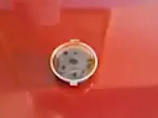 Salsa di Soia