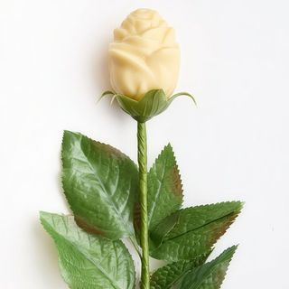 Rosa bianca cioccolato ai Fiori di Sambuco