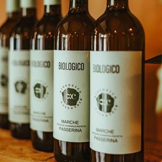 VINO BLANCO "PASSERINA"  (ITA)