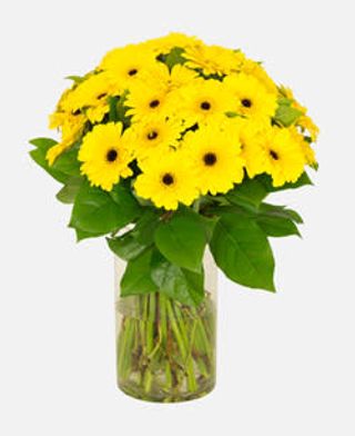 Bouquet Prateria gerbere