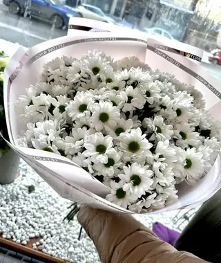 Поляна Хризантем с