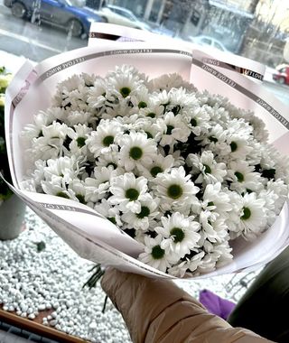 Поляна Хризантем с