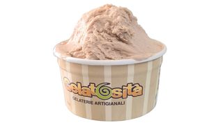 Gelato alla nocciola 250gr