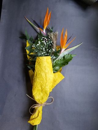 სამოთხის ჩიტი  2 ტოტი