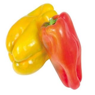 PEPERONI MISTI ARROSTIRE