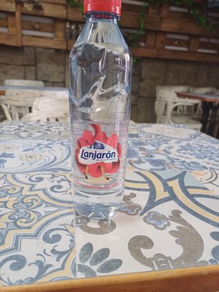 Agua (500 Ml.)