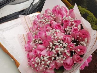50 pieces of pink roses