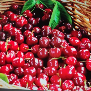 Ciliegie 500 gr