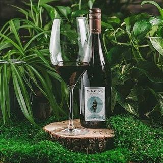 Marius Blanc Vermentino Pays DOC