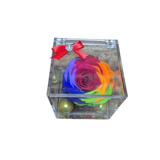 Rosa multicolor stabilizzata