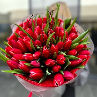 Червоне полумʼя 