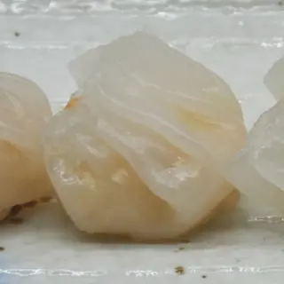 Ravioli di pesce