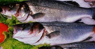 Robalo Escalado Grelhado