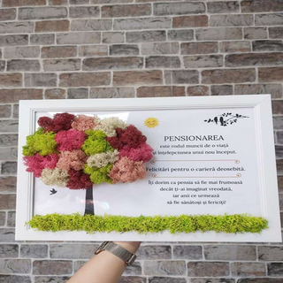 Tablou cu licheni Pensionare - 20x30