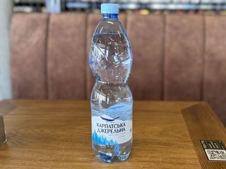 Вода мінеральна Карпатська Джерельна негазована 1л (1l)