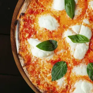Bella Margarita P
