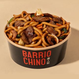 UDON NOODLES