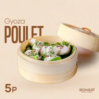 Gyoza Poulet-5 pièces 