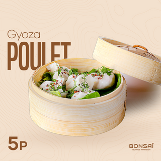 Gyoza Poulet-5 pièces 