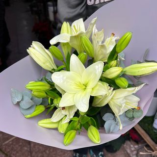 Bouquet de lys hybrid Blanche - 5 branches