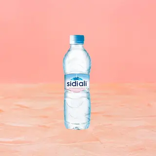 Sidi Ali
