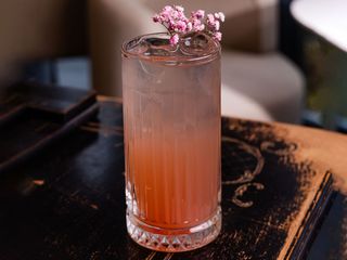 Лимонад ревінь-бузина (350ml)