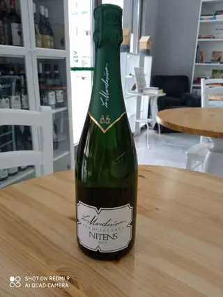 Nitens brut