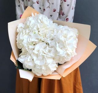 Букет із 3 білих гортензій