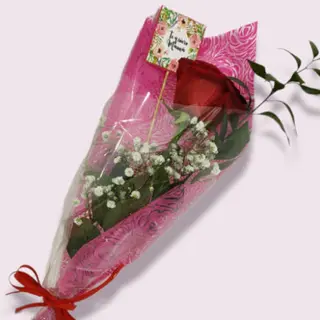 Rosa In Love Mami