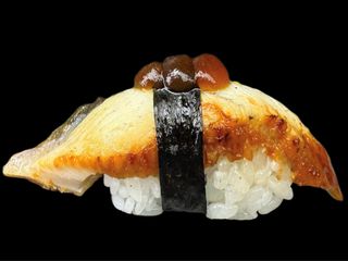 Nigiri eel