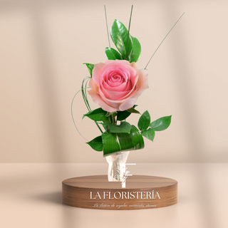 Rosa fresca color rosa individual