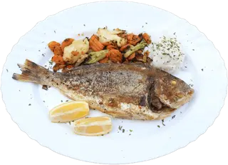 Orada 1kg